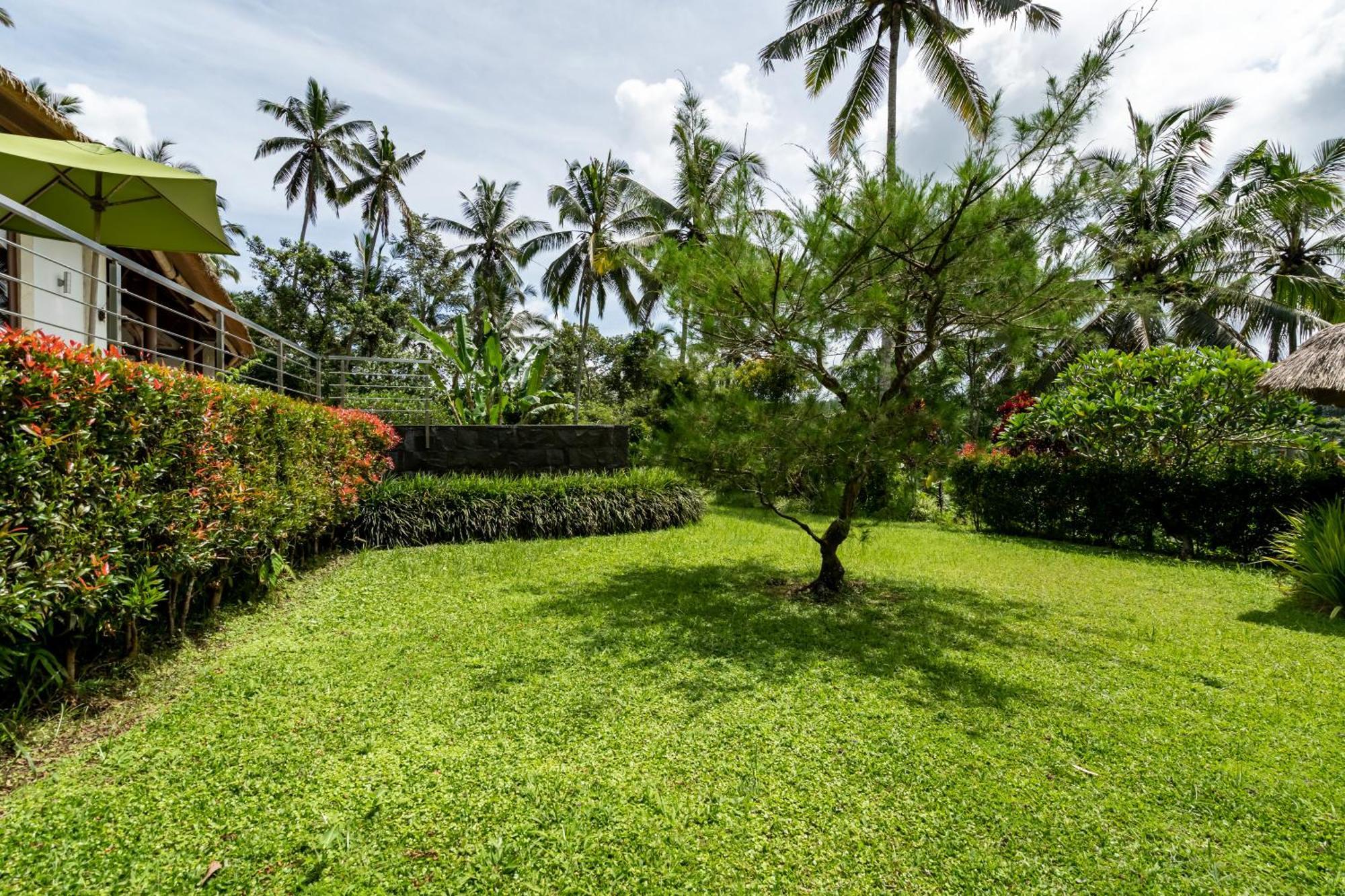 Villa Themma Jungle - Sumptuous 3Br Luxury Villa With Majestic Jungle View North Of Ubud Exterior foto